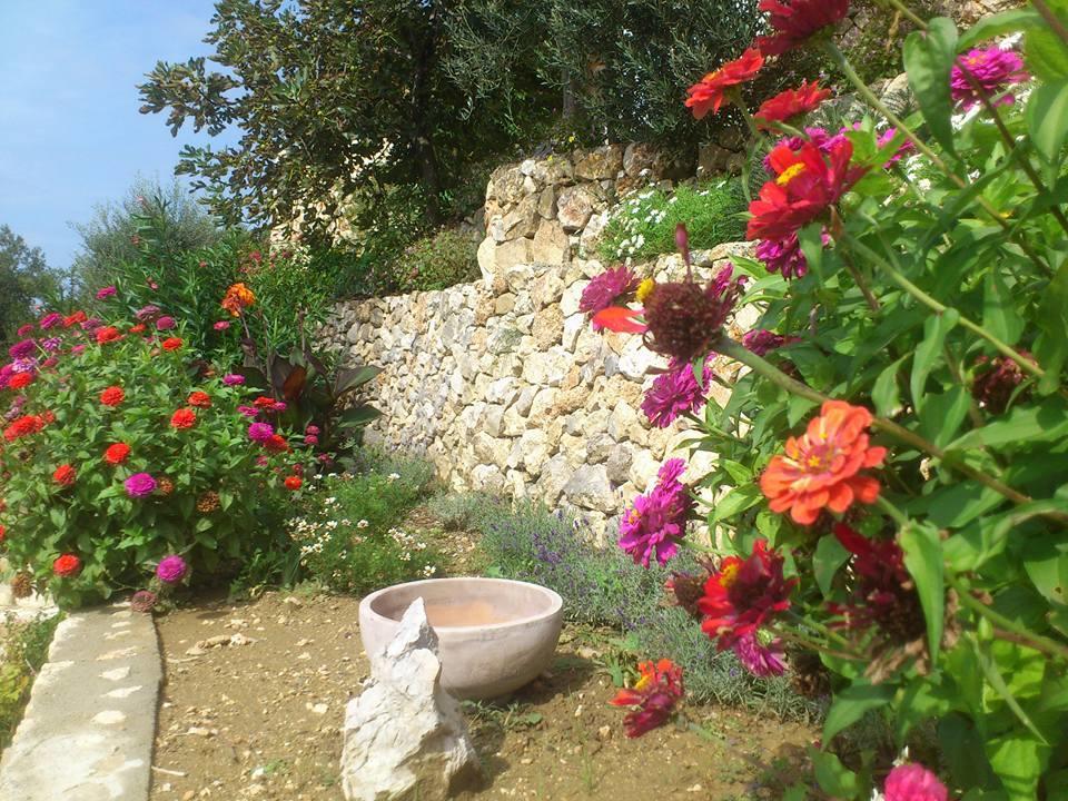Villa Mora Banjol Buitenkant foto