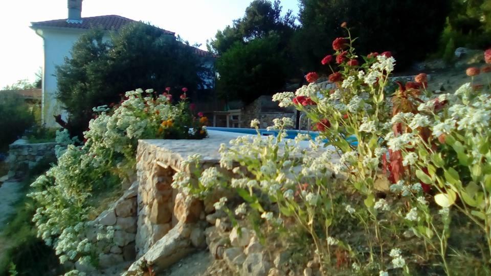Villa Mora Banjol Buitenkant foto