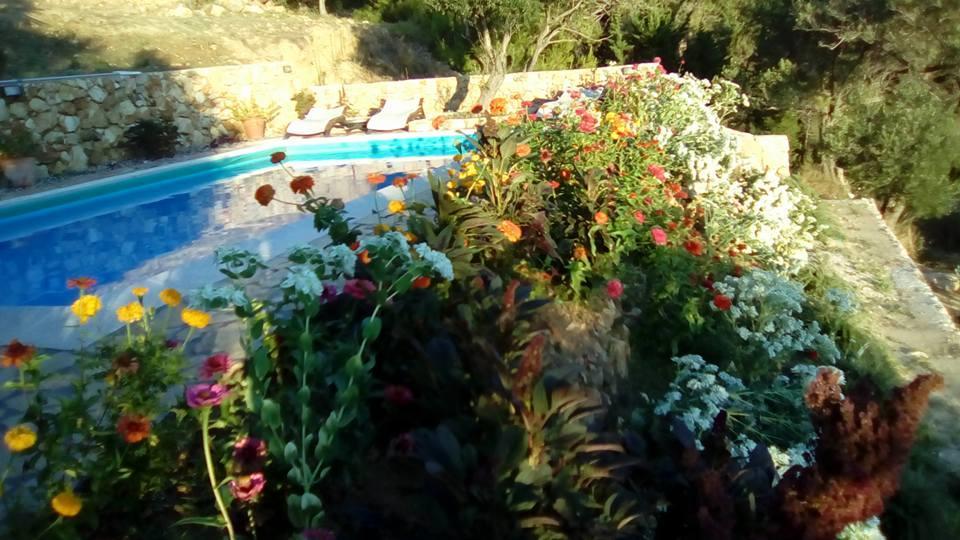 Villa Mora Banjol Buitenkant foto