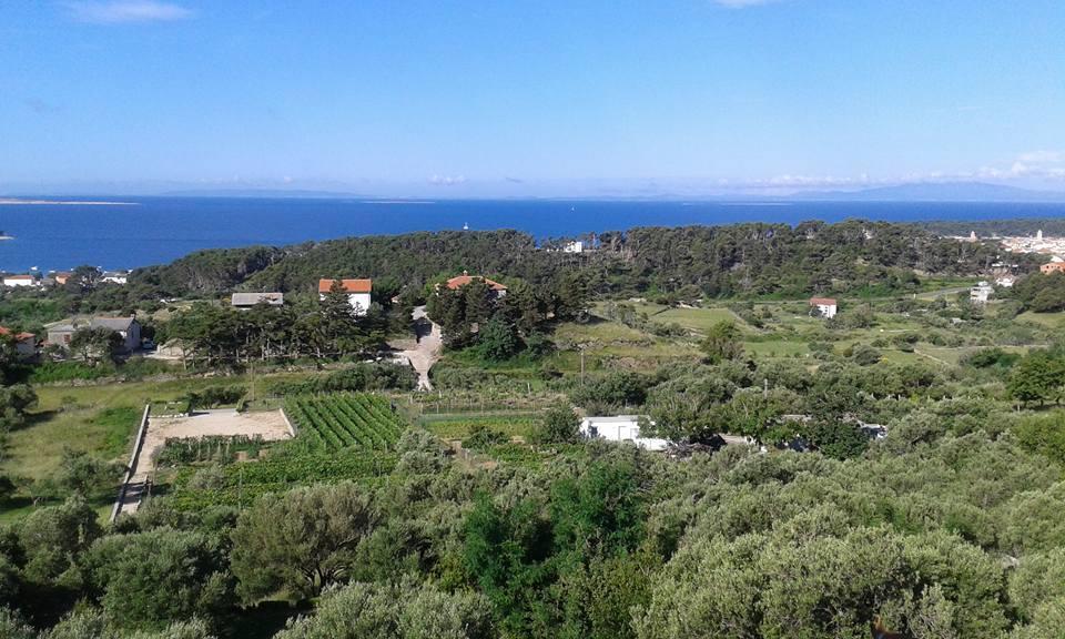 Villa Mora Banjol Buitenkant foto